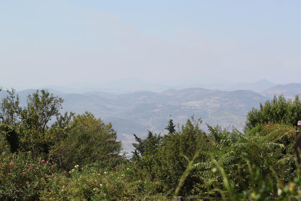 Guesthouse Kolenti 포르테리아 외부 사진